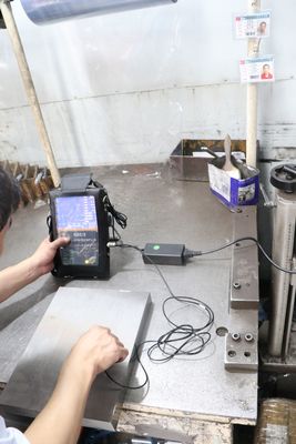 荒く良いフレームの処理のための水口システム注入の金型用板材